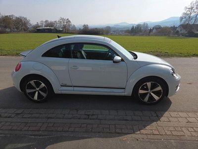 Gebraucht VW Beetle Cup 105 PS (77 kW) 2015 Weiß Kleinwagen