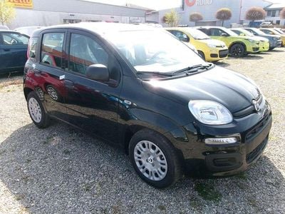 Nuova Fiat Panda Icon 69 CV (50 kW) 2026 Nero Utilitaria
