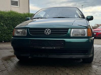 gebraucht VW Polo 6N