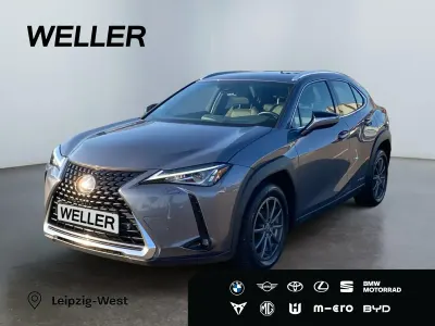 Gebraucht Lexus UX 250h Launch Edition 152 PS (111 kW) 2019 Grau SUV