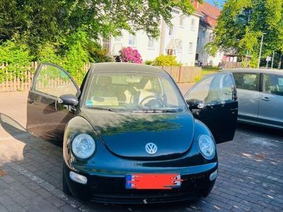VW Beetle
