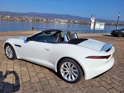 Gebraucht Jaguar F-Type Chequered Flag 340 PS (250 kW) 2019 Weiß Cabrio