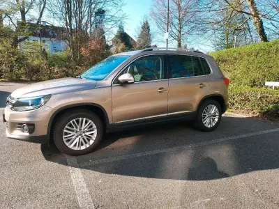 Gebraucht VW Golf VII 160 PS (117 kW) 2015 Beige SUV