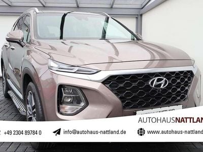 Gebraucht Hyundai Santa Fe Premium 200 PS (147 kW) 2020 Braun SUV