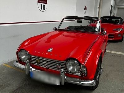 gebraucht Triumph TR4 