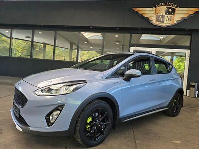 Usata Ford Fiesta Active 125 CV (91 kW) 2020 Blu Utilitaria