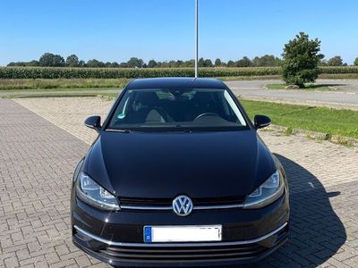 gebraucht VW Golf 1.0 TSI OPF IQ.DRIVE IQ.DRIVE