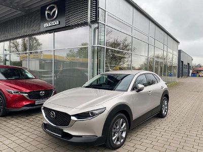 Gebraucht Mazda CX-30 Exclusive-Line 140 PS (102 kW) 2025 Platinum quartz SUV