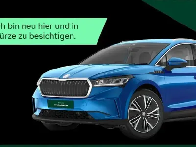 Gebraucht Skoda Karoq Selection 150 PS (110 kW) 2024 Blau SUV