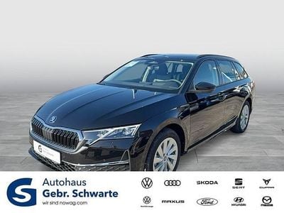 Usata Seat Ibiza FR 116 CV (85 kW) 2025 Nero Utilitaria