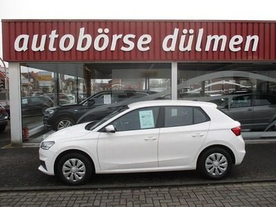 Gebraucht Skoda Fabia Active 95 PS (69 kW) 2023 Weiß Kleinwagen