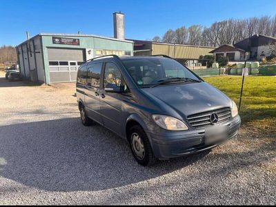 Mercedes Viano