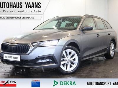 Grau Gebraucht 2023 Skoda Octavia Ambition Limousine | 20.989 € (Superpreis)