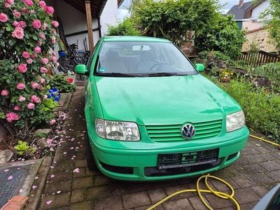 VW Polo