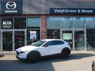 Neu Mazda CX-30 Homura-Line 140 PS (102 kW) 2026 Weiß SUV