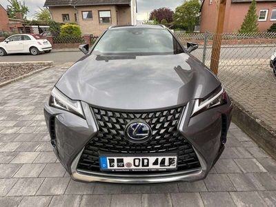 Lexus UX 250h