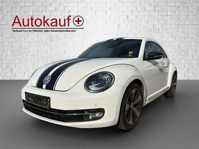 VW Beetle