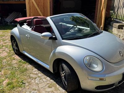 VW Beetle