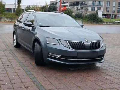 Gebraucht Skoda Octavia 116 PS (85 kW) 2018 Grau Kombi