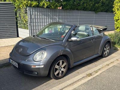 VW Beetle