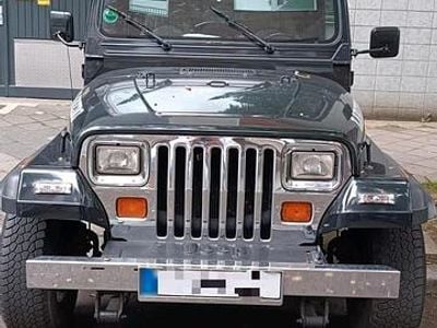 Gebraucht Jeep Wrangler 121 PS (88 kW) 1991 Schwarz SUV