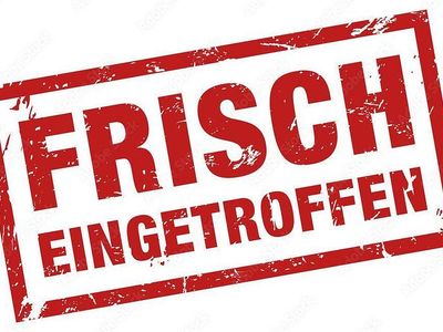 Gebraucht VW Transporter 102 PS (75 kW) 2010 Weiß Van