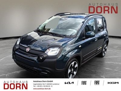 Neu Fiat Panda Cross Cross 65 PS (47 kW) 2026 Foresta grün Kleinwagen