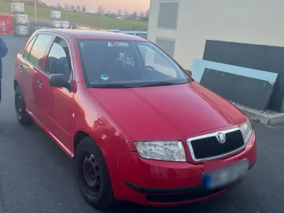 Usata Skoda Fabia