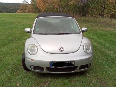 VW Beetle