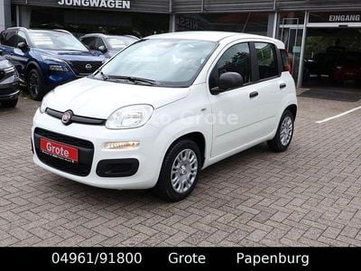 Neu Fiat Panda 69 PS (50 kW) 2025 Weiß Kleinwagen