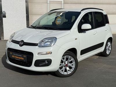 Usata Fiat Panda Lounge 69 CV (50 kW) 2017 Utilitaria