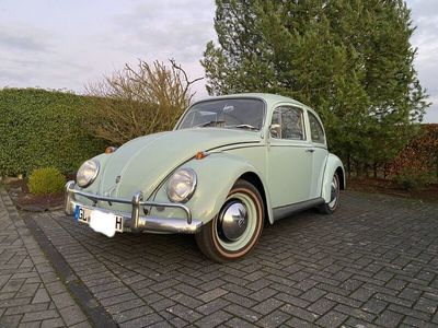 gebraucht VW Käfer 1965