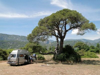 gebraucht VW T3 bus Bullih Kennzeichen