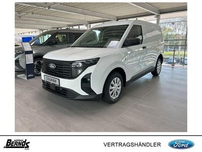 Frozen white Neu 2025 Ford Transit Trend Van / Kleinbus | 21.420 € (Guter Preis)