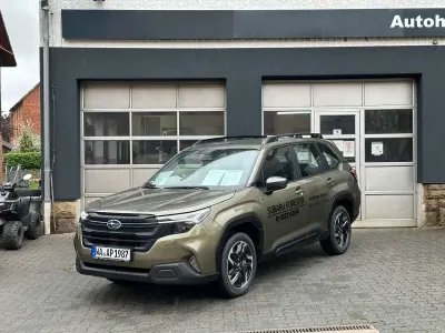 Neu Subaru Forester Trend 136 PS (100 kW) 2026 Autumn green SUV