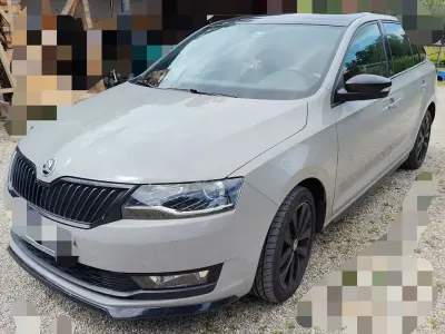 Gebraucht Skoda Rapid Monte Carlo 110 PS (80 kW) 2018 Grau Kleinwagen