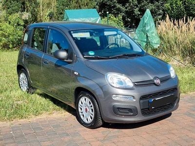 Gebraucht Fiat Panda 69 PS (50 kW) 2021 Grau Kleinwagen