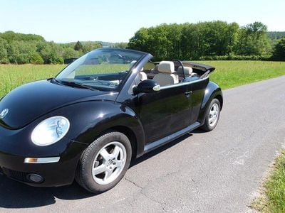 VW Beetle