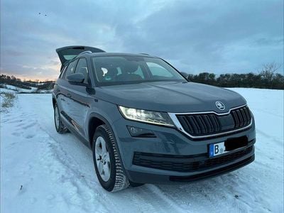 Grau Gebraucht 2017 Skoda Kodiaq Ambition SUV | 18.700 € (Guter Preis)