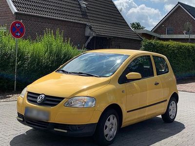 VW Fox