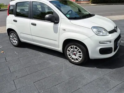 Gebraucht Fiat Panda 69 PS (50 kW) 2019 Weiß Kleinwagen