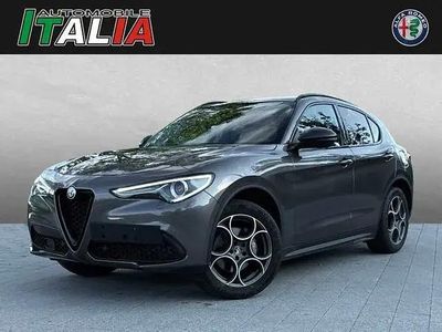 Usata Alfa Romeo Stelvio Tech Edition 209 CV (153 kW) 2019 Grigio SUV