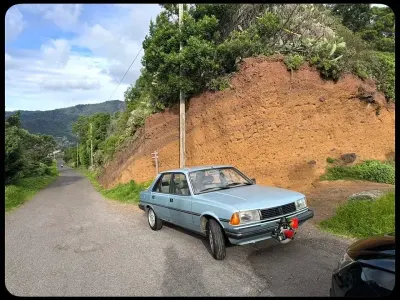 Gebraucht Peugeot 305 72 PS (52 kW) 1983 Blau Limousine