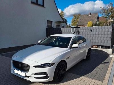 Second-hand Jaguar XE SE 250 CP (183 kW) 2020 Alb Berlinǎ