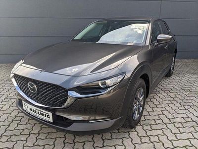 Gebraucht Mazda CX-30 Selection 150 PS (110 kW) 2021 Grau SUV