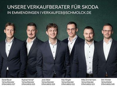 Neu Skoda Octavia RS 265 PS (194 kW) 2026 Grau Kombi