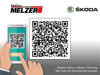 Gebraucht Skoda Rapid Clever 110 PS (80 kW) 2018 Grau Kleinwagen