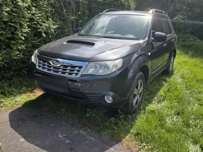 Gebraucht Subaru Forester