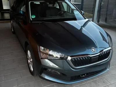Gebraucht Skoda Scala 116 PS (85 kW) 2020 Grau Kleinwagen