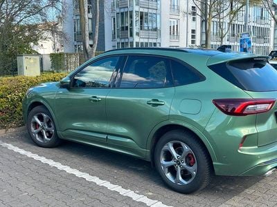 Brugt Ford Kuga ST-Line X 152 HK (111 kW) 2024 Grøn SUV